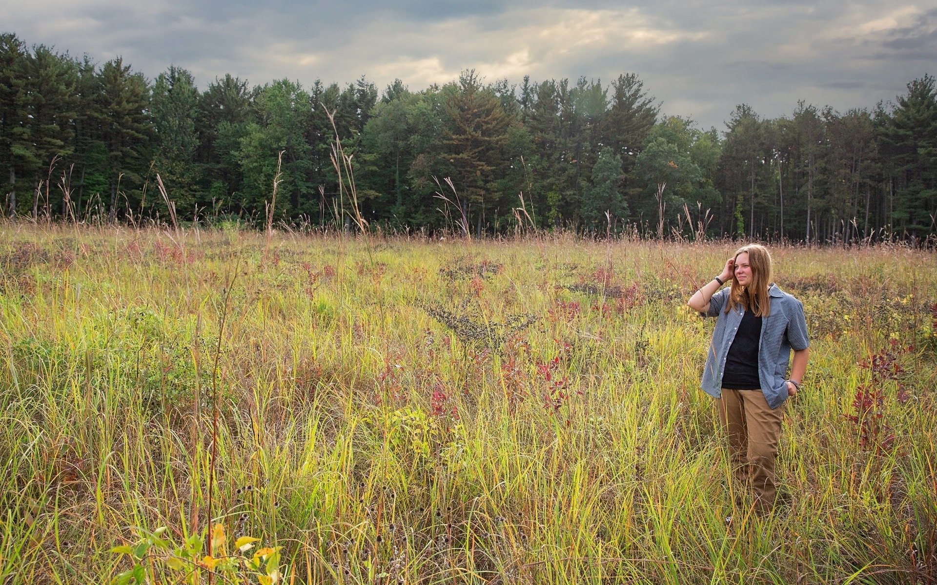 hs senior stands in a field of tall grass in a denim shirt