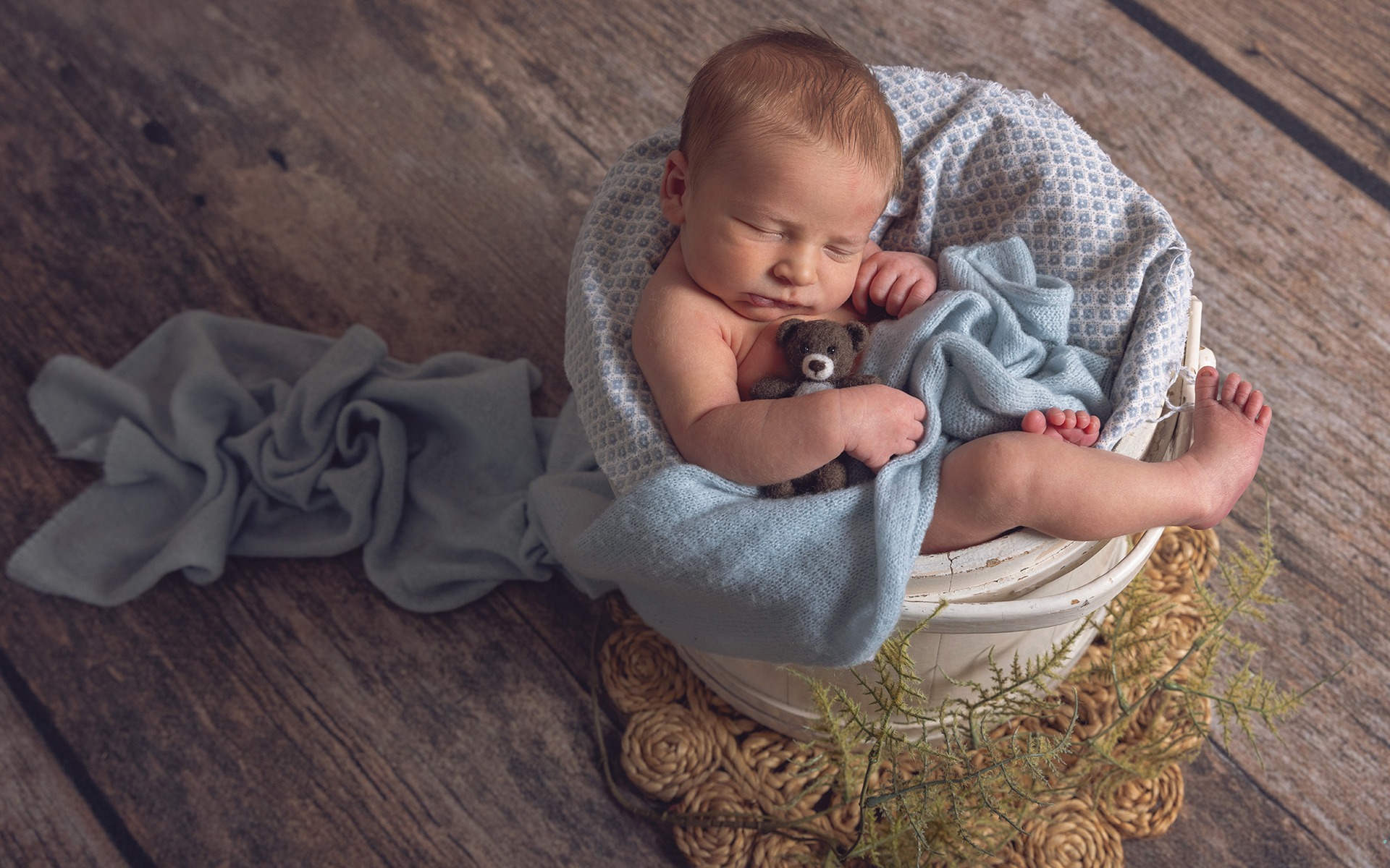 Gallery - Newborns - Gallery Image